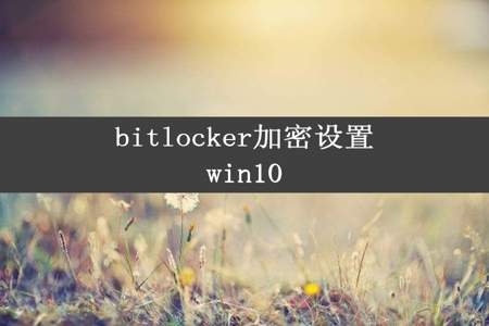 bitlocker加密设置win10