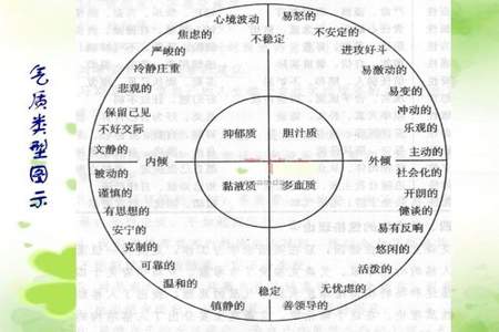 人的气质类型分为哪四种