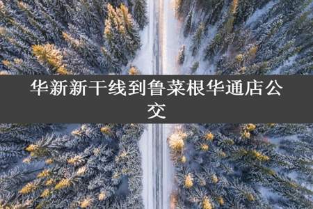 华新新干线到鲁菜根华通店公交