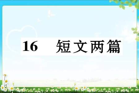 两个好朋友在森林里玩耍短文的标题