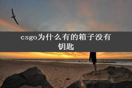 csgo为什么有的箱子没有钥匙