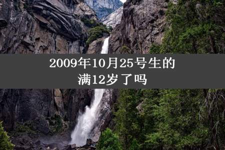 2009年10月25号生的满12岁了吗