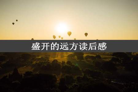 盛开的远方读后感