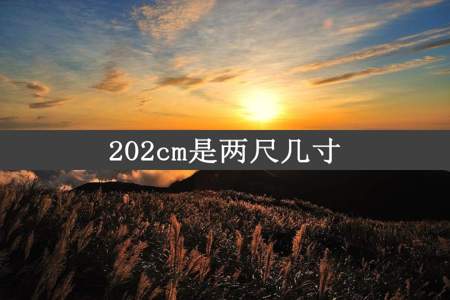 202cm是两尺几寸