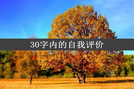 30字内的自我评价