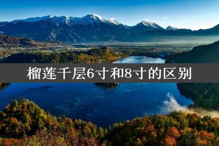 榴莲千层6寸和8寸的区别