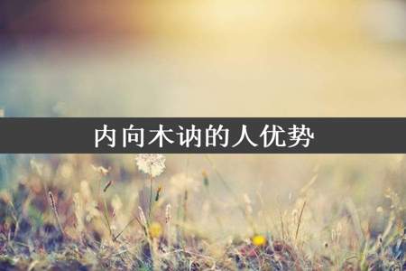 内向木讷的人优势