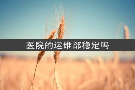 医院的运维部稳定吗