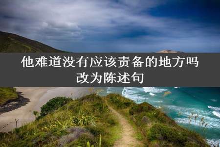 他难道没有应该责备的地方吗改为陈述句