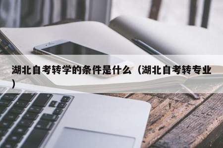 大学转学时能同时转专业吗