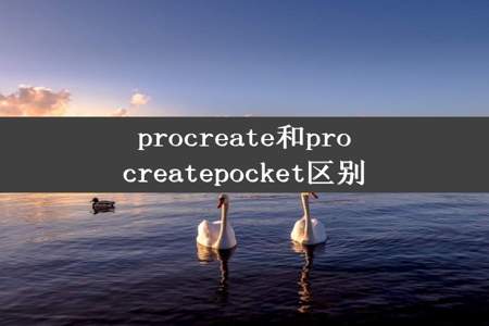 procreate和procreatepocket区别