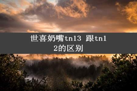 世喜奶嘴tn13 跟tn12的区别