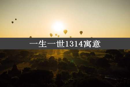 一生一世1314寓意