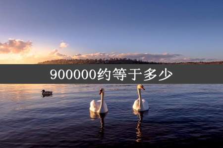 900000约等于多少