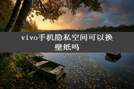 vivo手机隐私空间可以换壁纸吗