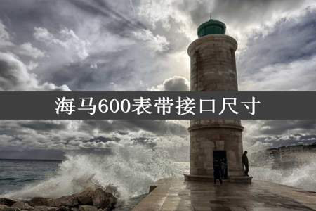 海马600表带接口尺寸