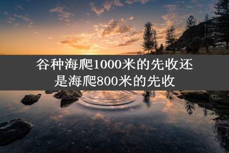 谷种海爬1000米的先收还是海爬800米的先收