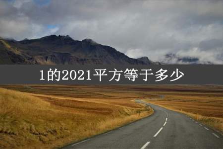 1的2021平方等于多少