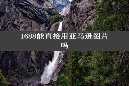 1688能直接用亚马逊图片吗