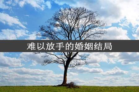 难以放手的婚姻结局