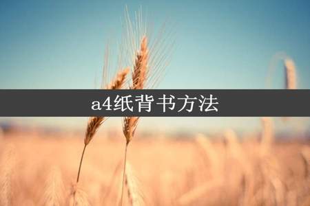 a4纸背书方法