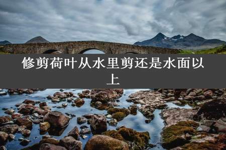 修剪荷叶从水里剪还是水面以上