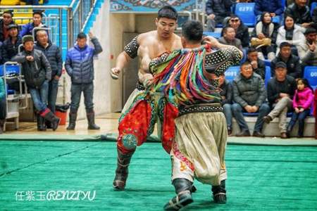 蒙古族摔跤的习俗