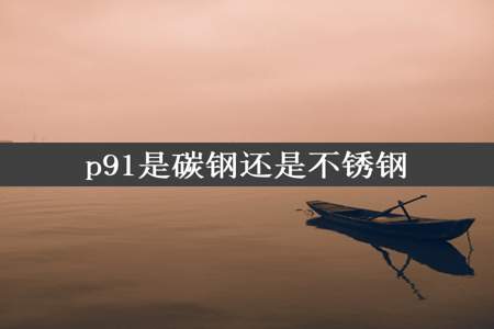 p91是碳钢还是不锈钢