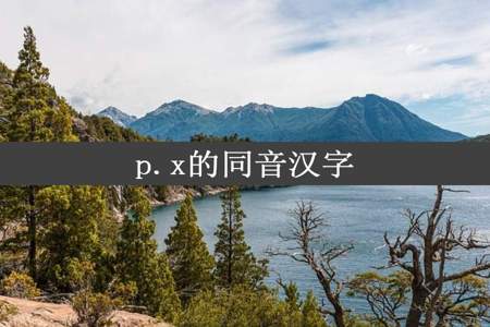 p.x的同音汉字