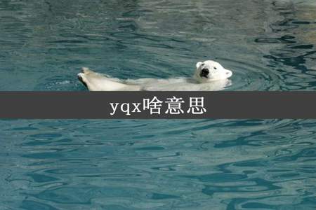 yqx啥意思