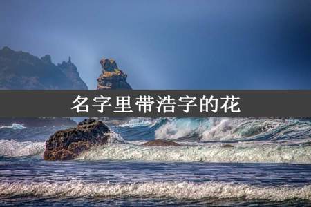 名字里带浩字的花