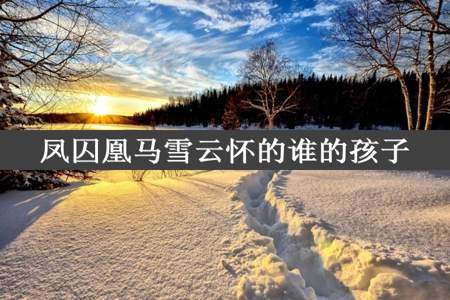 凤囚凰马雪云怀的谁的孩子