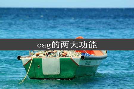 cag的两大功能