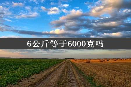 6公斤等于6000克吗