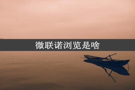 微联诺浏览是啥