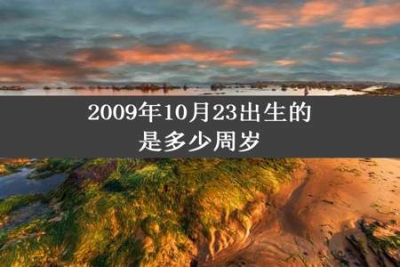 2009年10月23出生的是多少周岁