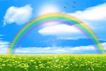 人生要经历多少风雨才能见彩虹