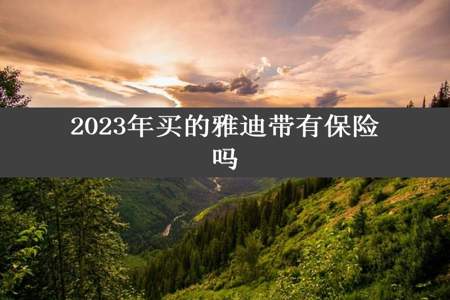 2023年买的雅迪带有保险吗