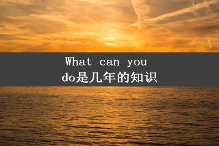 What can you do是几年的知识