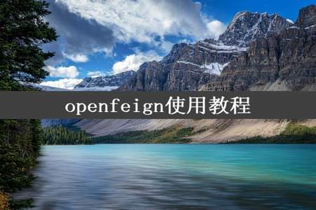 openfeign使用教程