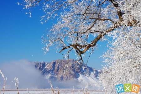 古人吟咏白雪时用的比喻句有哪些