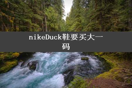 nikeDuck鞋要买大一码