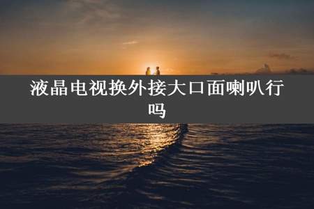 液晶电视换外接大口面喇叭行吗