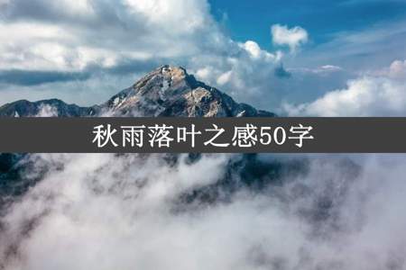 秋雨落叶之感50字