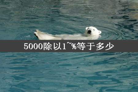 5000除以1~%等于多少