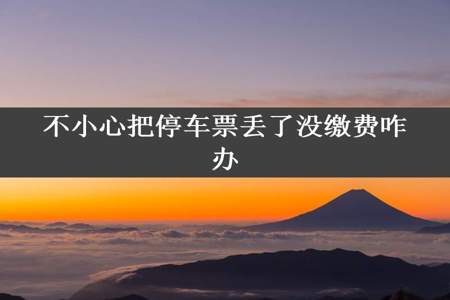 不小心把停车票丢了没缴费咋办