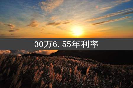 30万6.55年利率