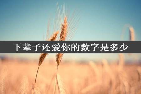 下辈子还爱你的数字是多少