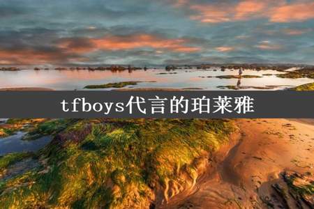 tfboys代言的珀莱雅