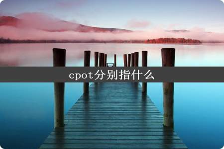 cpot分别指什么